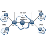 bgp_mpls